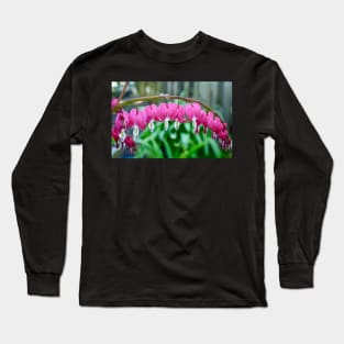 "Bleeding Heart" Flowers Long Sleeve T-Shirt